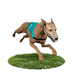 線上麻將娛樂城白金賽狗